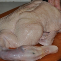 Whole Duck 