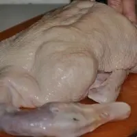 Whole Duck 