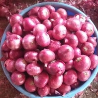 Red Onion