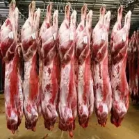 Halal Fresh Frozen Lamb Meat