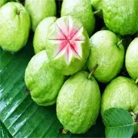 Guava Pulp