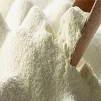 Whole Milk Powder