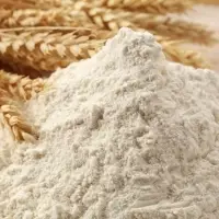 Wheat Flour