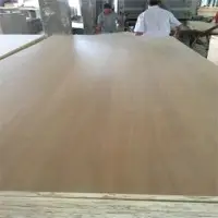 Tauari Champagne Plywood