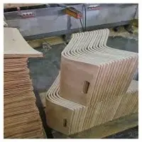 Anatomic Plywood