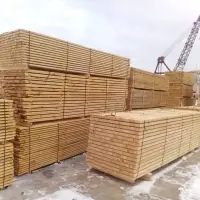 Pine Wood Boards