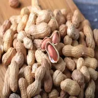 Peanuts