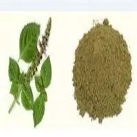 Herbal Powder