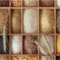 Grains
