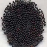 Herbal Seeds