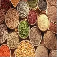 Grains