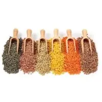 Pulses