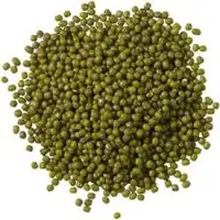 Green Lentil