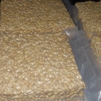Cashew Nut Kernels