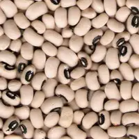 Black Eye Bean