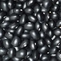 Black Beans