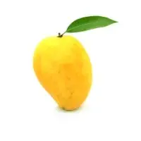 Mangoes
