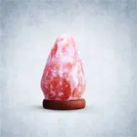 Natural Shapes Salt Lamps