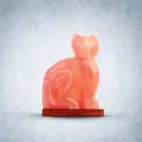 Figure Shapes Salt Lamps