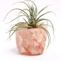 Home Décor Himalayan Salt