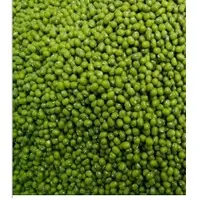 Green Mung Beans