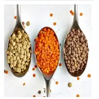 Lentils