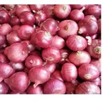 Red Onion
