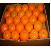 Mandarin