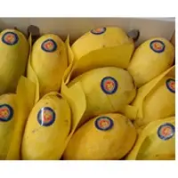 Mangoes