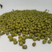 Green Mung Bean