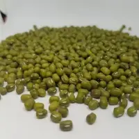 Green Mung Bean
