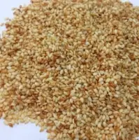 Sesame Seeds