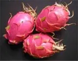 Dragon fruit