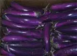 Chinese eggplant