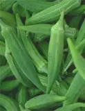 American okra