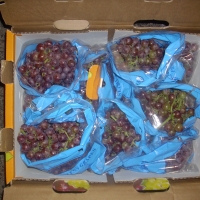 Fresh Grapes