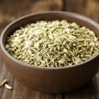 Fennel Seeds