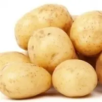 Fresh Potatoes