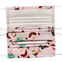 Santa Pink Face Mask