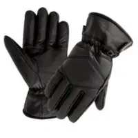 Dressing Gloves
