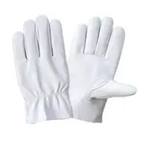Driving Gloves