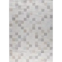 Hand Woven Flat Weave Carpet and Rugs