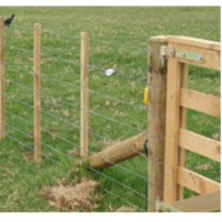Fencing Wire
