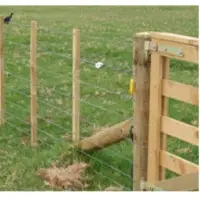 Fencing Wire