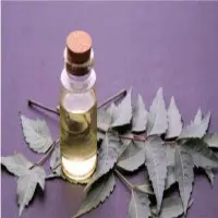 Neem Oil