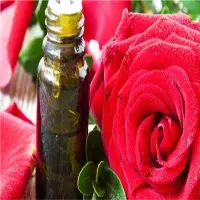 Rose Oil