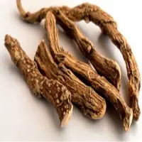 Calamus Root Oil