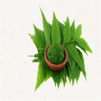Neem Leaf