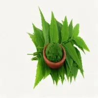 Neem Leaf