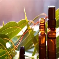 Eucalyptus Oil